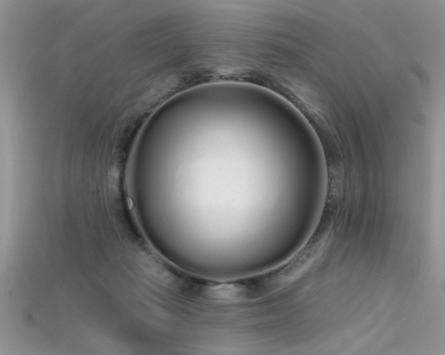 X0000115690269200911121314