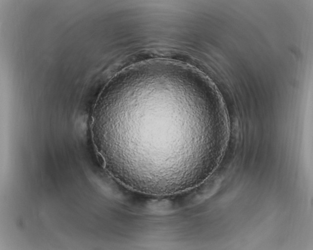 X0000115690271200911121314