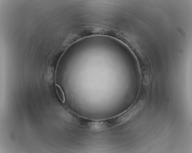 X0000115690273200911121314