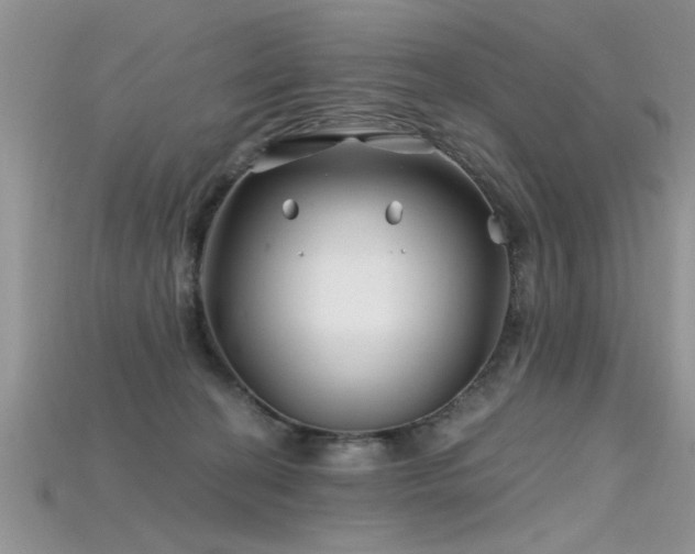 X0000115690274200911121314