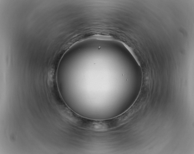 X0000115690275200911121314