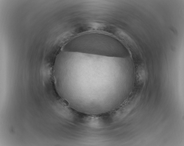 X0000115690276200911121314