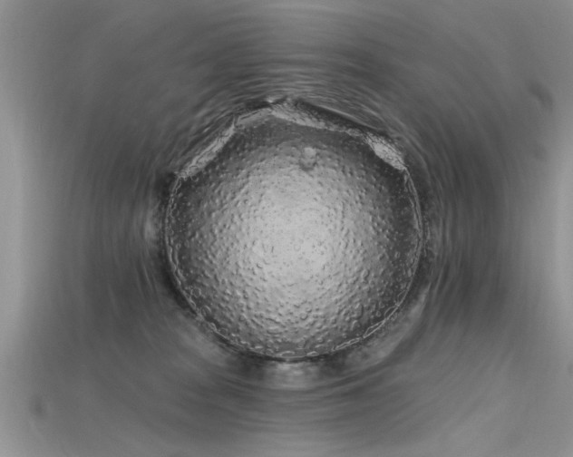 X0000115690277200911121314
