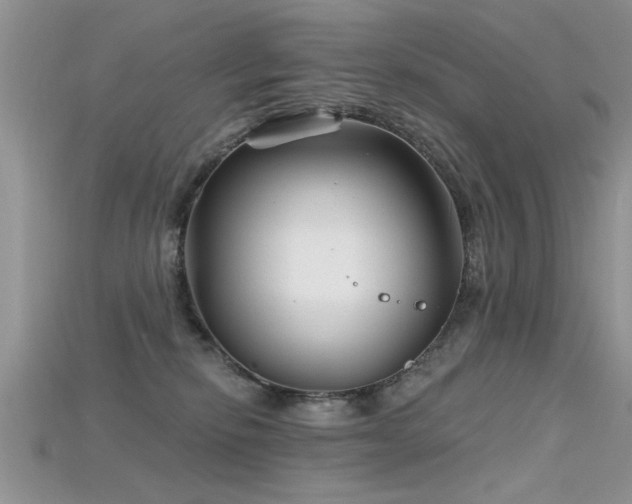 X0000115690278200911121314