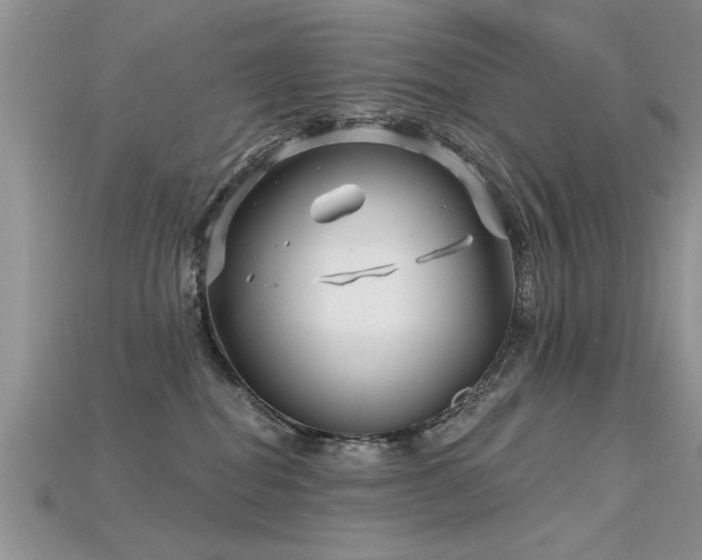 X0000115690282200911121314