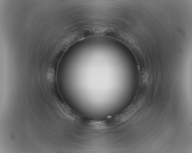 X0000115690283200911121314