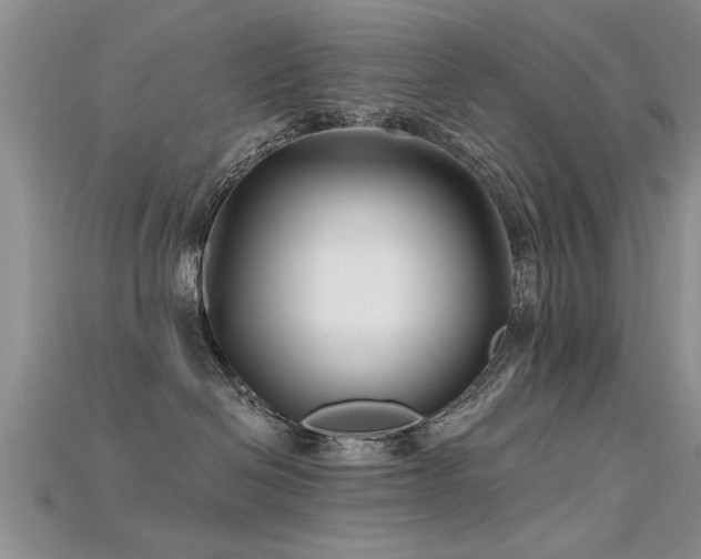 X0000115690286200911121314