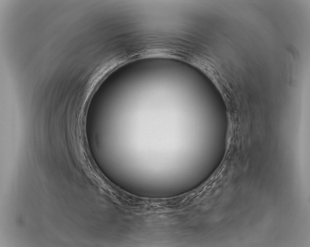 X0000115690289200911121313