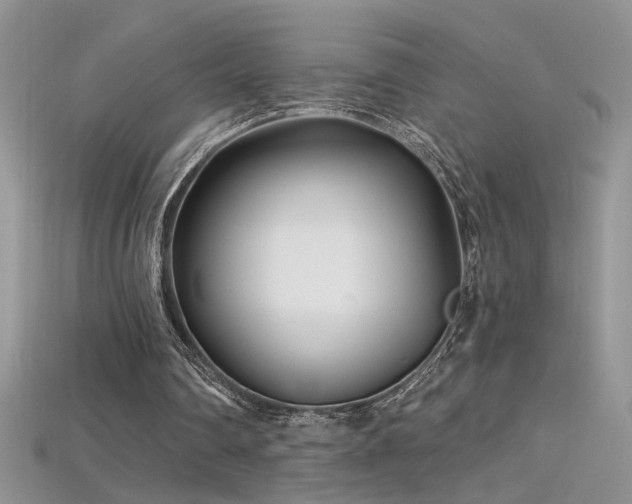 X0000115690290200911121313