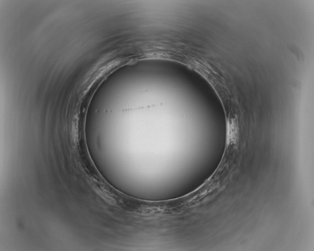 X0000115690291200911121313