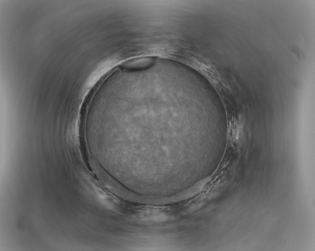 X0000115690292200911121313