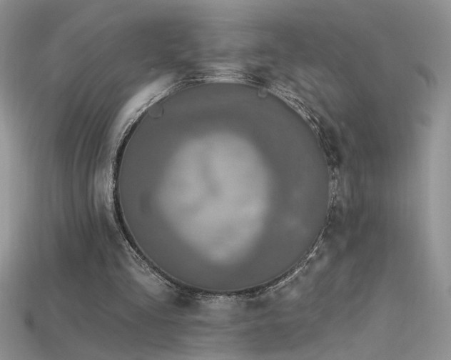 X0000115690293200911121313