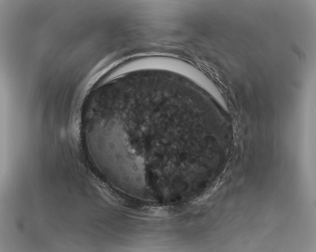 X0000115690295200911121313