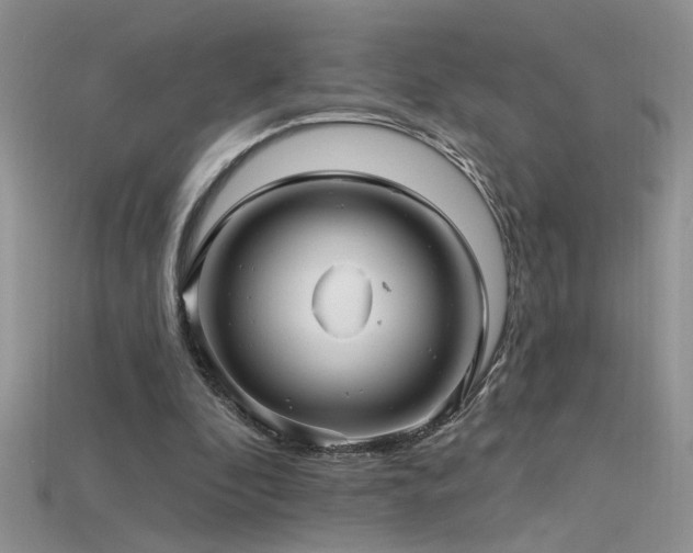 X0000115690296200911121313