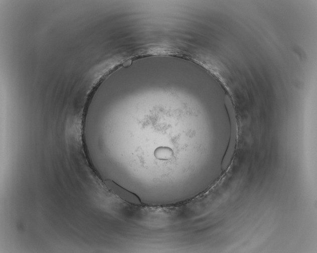 X0000115690297200911121313