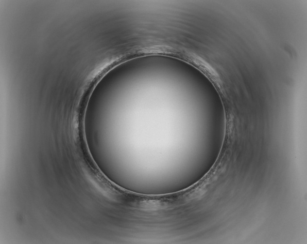 X0000115690298200911121313