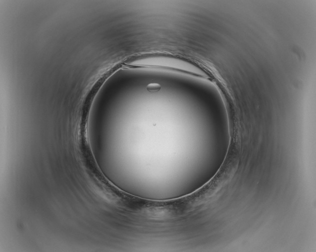 X0000115690299200911121313