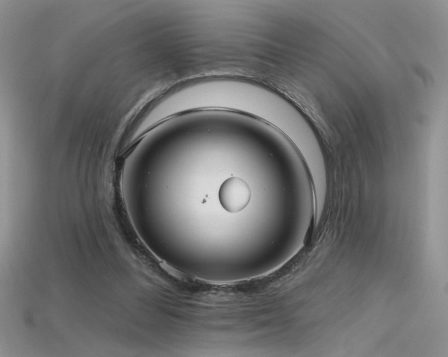X0000115690300200911121313