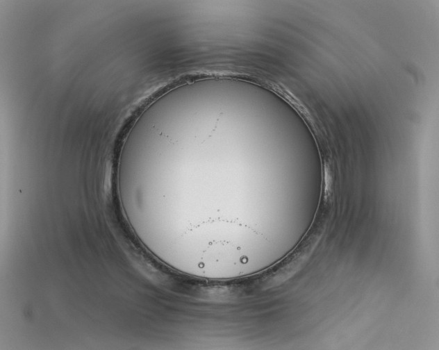 X0000115690301200911121313