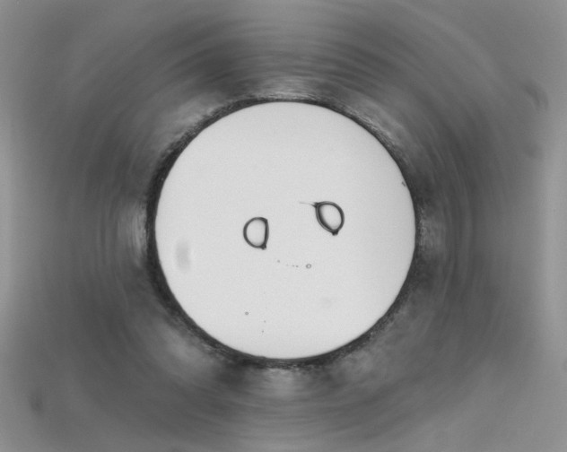 X0000115690302200911121313