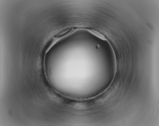 X0000115690303200911121313