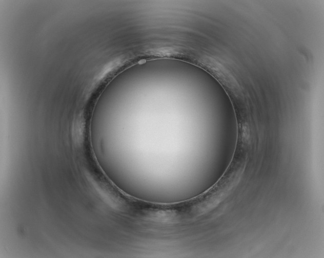 X0000115690304200911121313