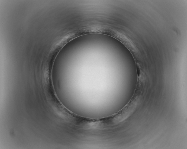 X0000115690306200911121313