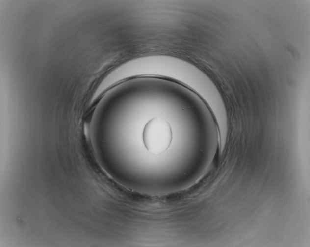 X0000115690308200911121313