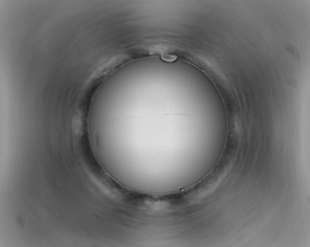 X0000115690311200911121313