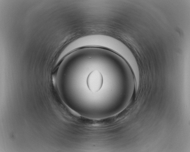 X0000115690312200911121313