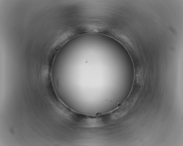 X0000115690314200911121313
