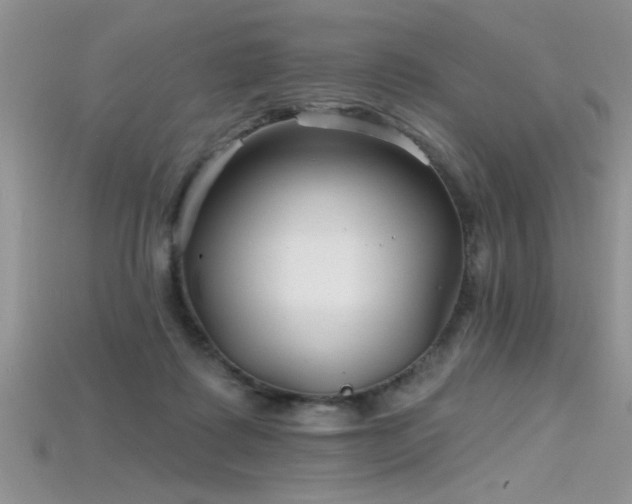 X0000115690315200911121313