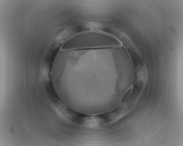 X0000115690316200911121313