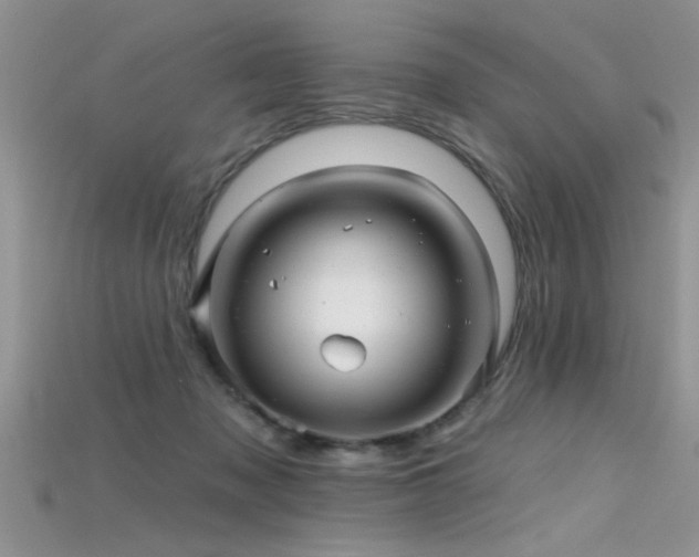 X0000115690317200911121313