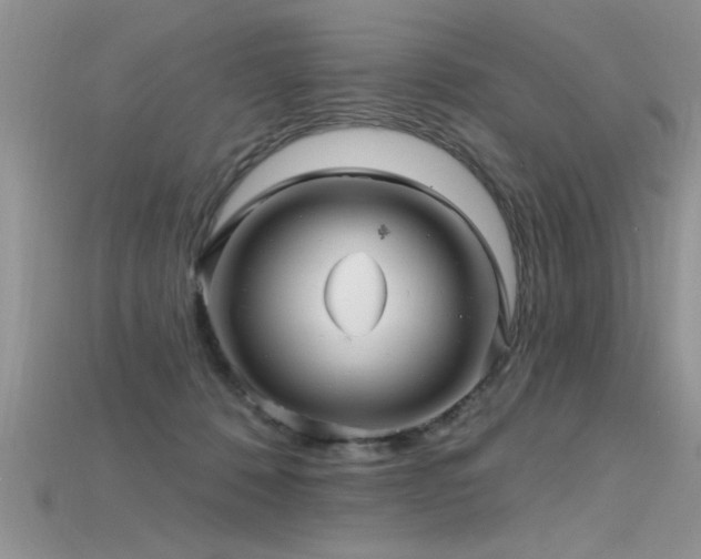X0000115690320200911121313