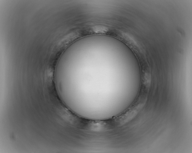X0000115690321200911121313
