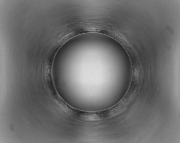 X0000115690322200911121313