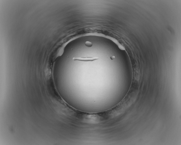 X0000115690324200911121313