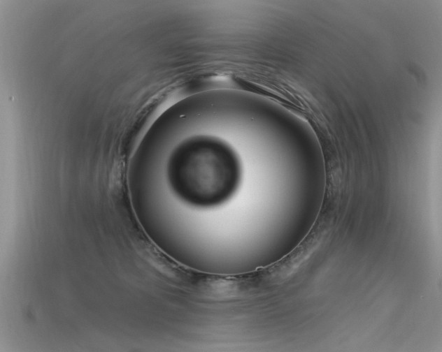 X0000115690325200911121313