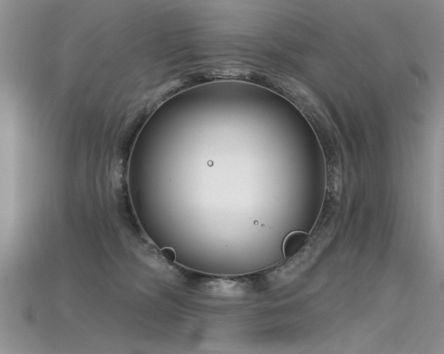 X0000115690326200911121313