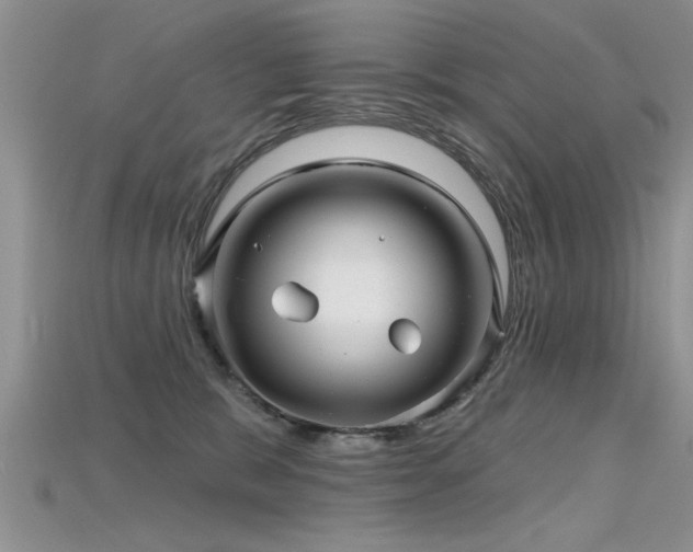 X0000115690327200911121313