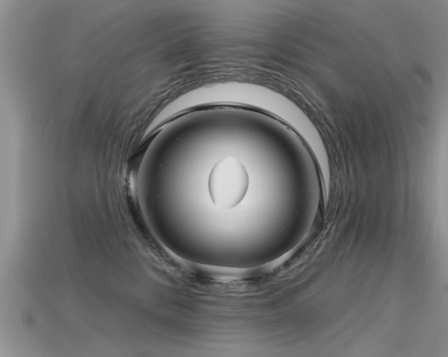 X0000115690328200911121313
