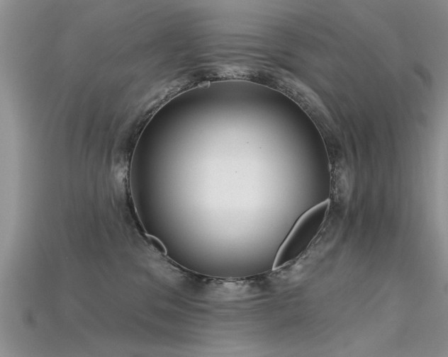 X0000115690329200911121313
