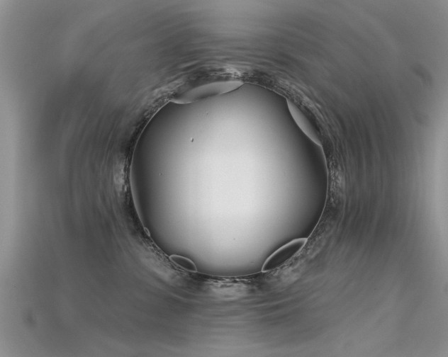 X0000115690331200911121313
