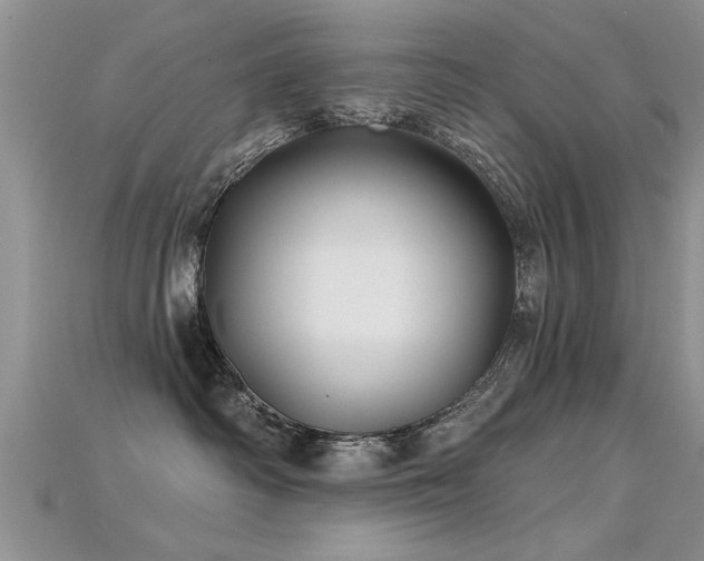 X0000115690334200911121313