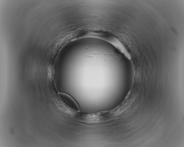 X0000115690335200911121313