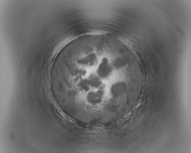 X0000115690337200911121312