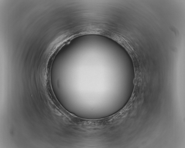 X0000115690338200911121312