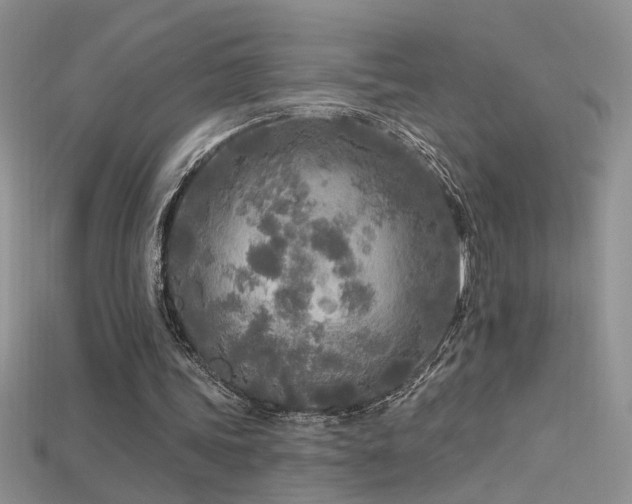 X0000115690339200911121312