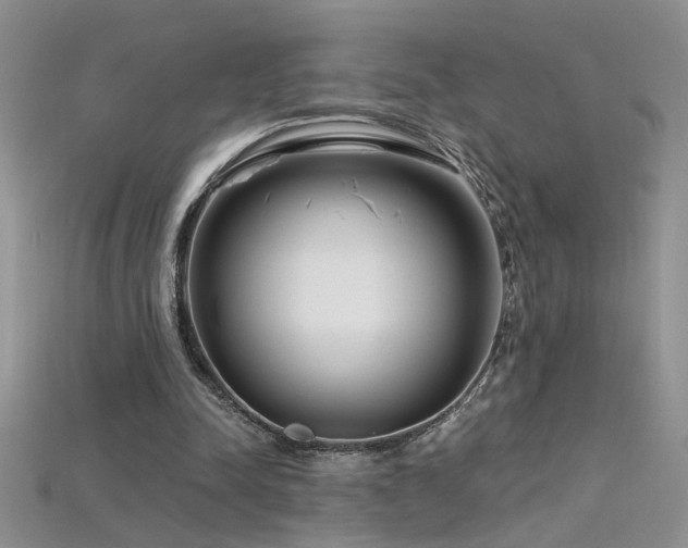 X0000115690342200911121312